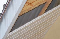 rated Bach Y Gwreiddyn soffit repair companies